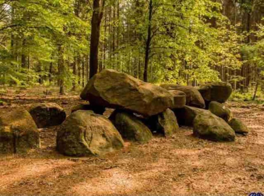 Chalet Midden In De Natuur! 앵루 외부 사진